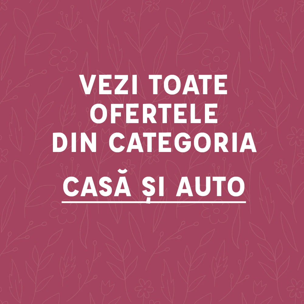 Casă și Auto